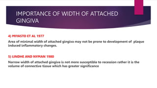 IMPORTANCE OF WIDTH OF ATTACHED
GINGIVA
4) MIYASTO ET AL 1977
Area of minimal width of attached gingiva may not be prone to development of plaque
induced inflammatory changes.
5) LINDHE AND NYMAN 1980
Narrow width of attached gingiva is not more susceptible to recession rather it is the
volume of connective tissue which has greater significance
 