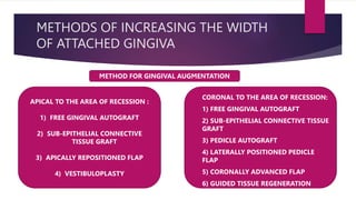 METHODS OF INCREASING THE WIDTH
OF ATTACHED GINGIVA
METHOD FOR GINGIVAL AUGMENTATION
APICAL TO THE AREA OF RECESSION :
1) FREE GINGIVAL AUTOGRAFT
2) SUB-EPITHELIAL CONNECTIVE
TISSUE GRAFT
3) APICALLY REPOSITIONED FLAP
4) VESTIBULOPLASTY
 CORONAL TO THE AREA OF RECESSION:
 1) FREE GINGIVAL AUTOGRAFT
 2) SUB-EPITHELIAL CONNECTIVE TISSUE
GRAFT
 3) PEDICLE AUTOGRAFT
 4) LATERALLY POSITIONED PEDICLE
FLAP
 5) CORONALLY ADVANCED FLAP
 6) GUIDED TISSUE REGENERATION
 