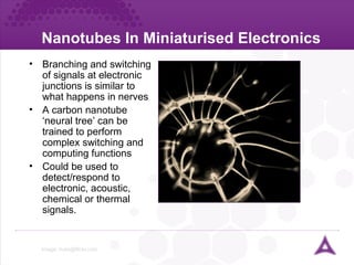 Nanotubes In Miniaturised Electronics  Image:  [email_address]   Branching and switching of signals at electronic junctions is similar to what happens in nerves A carbon nanotube ‘neural tree’ can be trained to perform complex switching and computing functions Could be used to detect/respond to electronic, acoustic, chemical or thermal signals. 