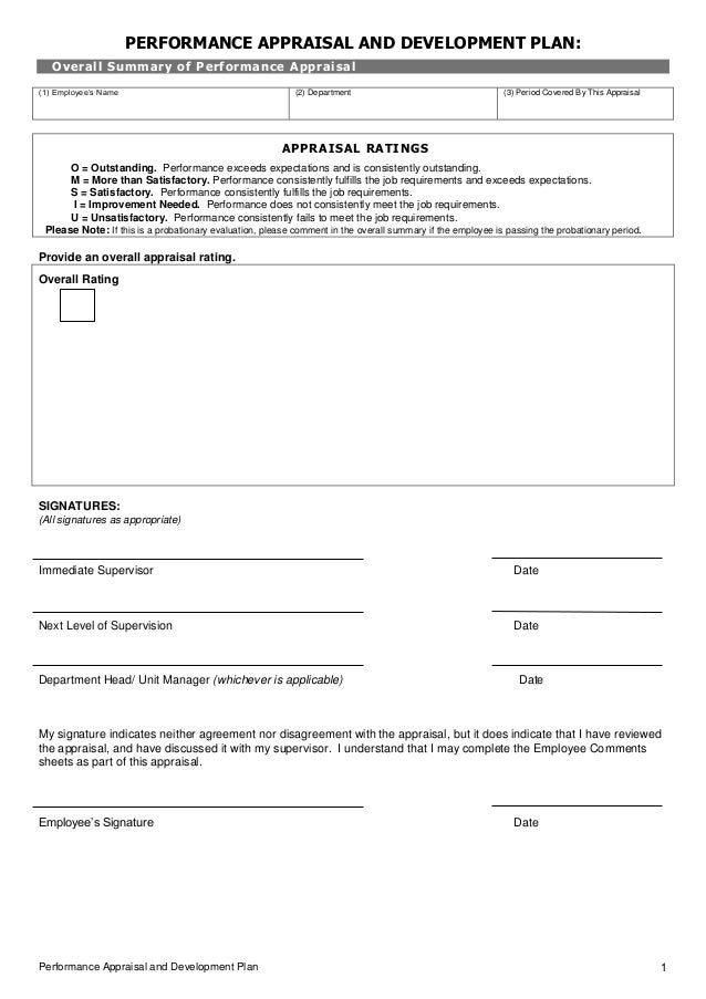 Professional Unbranded Performance Appraisal Form