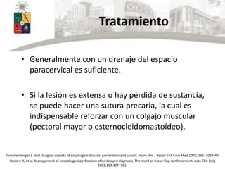 Tratamiento
• Generalmente con un drenaje del espacio
paracervical es suficiente.
• Si la lesión es extensa o hay pérdida de sustancia,
se puede hacer una sutura precaria, la cual es
indispensable reforzar con un colgajo muscular
(pectoral mayor o esternocleidomastoídeo).
Zwischenberger J, et al. Surgical aspects of esophageal disease: perforation and caustic injury. Am J Respir Crit Care Med 2002; 165: 1037-40.
Rosiere A, et al. Management of oesophageal perforation after delayed diagnosis. The merit of tissue flap reinforcement. Acta Chir Belg
2003;103:497–501.
 