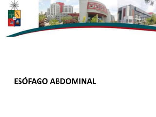 ESÓFAGO ABDOMINAL
 