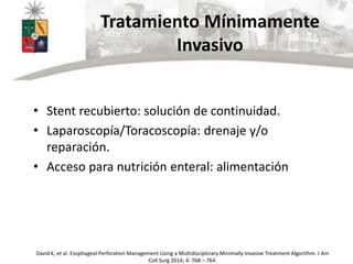 Tratamiento Mínimamente
Invasivo
• Stent recubierto: solución de continuidad.
• Laparoscopía/Toracoscopía: drenaje y/o
reparación.
• Acceso para nutrición enteral: alimentación
David K, et al. Esophageal Perforation Management Using a Multidisciplinary Minimally Invasive Treatment Algorithm. J Am
Coll Surg 2014; 4: 768 – 764.
 