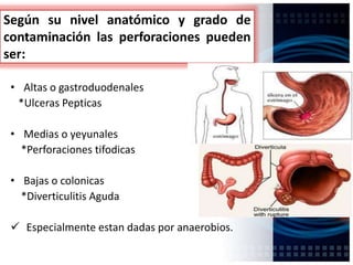 Según su nivel anatómico y grado de
contaminación las perforaciones pueden
ser:
• Altas o gastroduodenales
*Ulceras Pepticas
• Medias o yeyunales
*Perforaciones tifodicas
• Bajas o colonicas
*Diverticulitis Aguda
 Especialmente estan dadas por anaerobios.
 