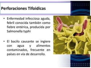Perforaciones Tifoidicas
• Enfermedad infecciosa aguda,
febril conocida también como
fiebre entérica, producida por
Salmonella typhi
• El bacilo causante se ingiere
con agua y alimentos
contaminados, frecuente en
países en vía de desarrollo.
 
