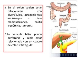 4. En el colon suelen estar
relacionadas con
divertículos, iatrogenia tras
endoscopia u otras
manipulaciones, colitis
isquémica, tumores.
5.La vesícula biliar puede
perforarse y suele estar
relacionado con un cuadro
de colecistitis aguda.
 