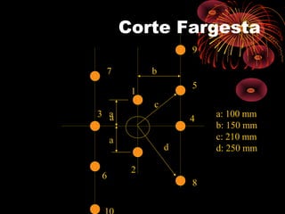 Corte Fargesta
1
2
3
4
5
6
7
8
9
aa
a
b
c
d
a: 100 mm
b: 150 mm
c: 210 mm
d: 250 mm
 