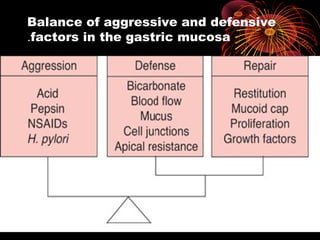 Balance of aggressive and defensive
factors in the gastric mucosa.
 