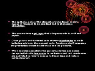  The epithelial cells of the stomach and duodenum secrete
mucus in response to an acid load and to cholinergic
stimulation.
 This mucus form a gel layer that is impermeable to acid and
pepsin.
 Other gastric and duodenal cells secrete bicarbonate to aid in
buffering acid near the mucosal cells. Prostaglandin E increases
the production of both bicarbonate and the gel layer.
 When acid does penetrate the protective layers and enters
the epithelial cells, ion pumps in the basolateral cell membranes
are activated to remove excess hydrogen ions and restore
intracellular pH.
 