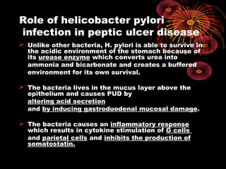 Role of helicobacter pylori
infection in peptic ulcer disease
 Unlike other bacteria, H. pylori is able to survive in
the acidic environment of the stomach because of
its urease enzyme which converts urea into
ammonia and bicarbonate and creates a buffered
environment for its own survival.
 The bacteria lives in the mucus layer above the
epithelium and causes PUD by
altering acid secretion
and by inducing gastroduodenal mucosal damage.
 The bacteria causes an inflammatory response
which results in cytokine stimulation of G cells
and parietal cells and inhibits the production of
somatostatin.
 