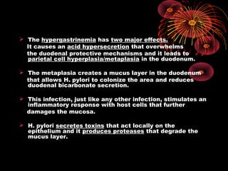  The hypergastrinemia has two major effects.
It causes an acid hypersecretion that overwhelms
the duodenal protective mechanisms and it leads to
parietal cell hyperplasia/metaplasia in the duodenum.
 The metaplasia creates a mucus layer in the duodenum
that allows H. pylori to colonize the area and reduces
duodenal bicarbonate secretion.
 This infection, just like any other infection, stimulates an
inflammatory response with host cells that further
damages the mucosa.
 H. pylori secretes toxins that act locally on the
epithelium and it produces proteases that degrade the
mucus layer.
 