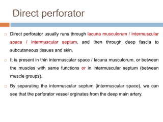 Direct perforator
 Direct perforator usually runs through lacuna musculorum / intermuscular
space / intermuscular septum, and then through deep fascia to
subcutaneous tissues and skin.
 It is present in thin intermuscular space / lacuna musculorum, or between
the muscles with same functions or in intermuscular septum (between
muscle groups).
 By separating the intermuscular septum (intermuscular space), we can
see that the perforator vessel orginates from the deep main artery.
 