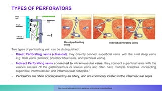 TYPES OF PERFORATORS
Two types of perforating vein can be distinguished :
 Direct Perforating veins (classical): they directly connect superficial veins with the axial deep veins
e.g. tibial veins (anterior, posterior tibial veins, and peroneal veins).
 Indirect Perforating veins connected to intramuscular veins: they connect superficial veins with the
venous sinuses of the gastrocnemius or soleus veins and often have multiple branches. connecting
superficial, intermuscular. and intramuscular networks.”
 Perforators are often accompanied by an artery, and are commonly located in the intramuscular septa
Direct perforating
veins
Indirect perforating veins
https://www.phlebologia.com/short-saphenous-territory/below-the-popliteal-fossa
 