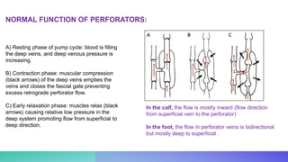 A) Resting phase of pump cycle: blood is filling
the deep veins, and deep venous pressure is
increasing.
B) Contraction phase: muscular compression
(black arrows) of the deep veins empties the
veins and closes the fascial gate preventing
excess retrograde perforator flow.
C) Early relaxation phase: muscles relax (black
arrows) causing relative low pressure in the
deep system promoting flow from superficial to
deep direction.
NORMAL FUNCTION OF PERFORATORS:
In the calf, the flow is mostly inward (flow direction
from superficial vein to the perforator)
In the foot, the flow in perforator veins is bidirectional
but mostly deep to superficial .
 