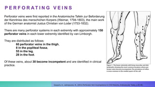 P E R F O R A T I N G V E I N S
Gasparis, A., Labropoulos, N., (2011) Perforator Vein Incompetence in CVD Patients, Endovascular Today, p.45-49.
Perforator veins were first reported in the Anatomische Tafeln zur Beforderung
der Kenntniss des menschichen Korpers (Weimar, 1794-1803), the main work
of the German anatomist Justus Christian von Loder (1753-1832).
There are many perforator systems in each extremity with approximately 150
perforator veins in each lower extremity identified by van Limborgh.
They are distributed as follows:
60 perforator veins in the thigh,
8 in the popliteal fossa,
55 in the leg,
28 in the foot.
Of these veins, about 30 become incompetent and are identified in clinical
practice.
 
