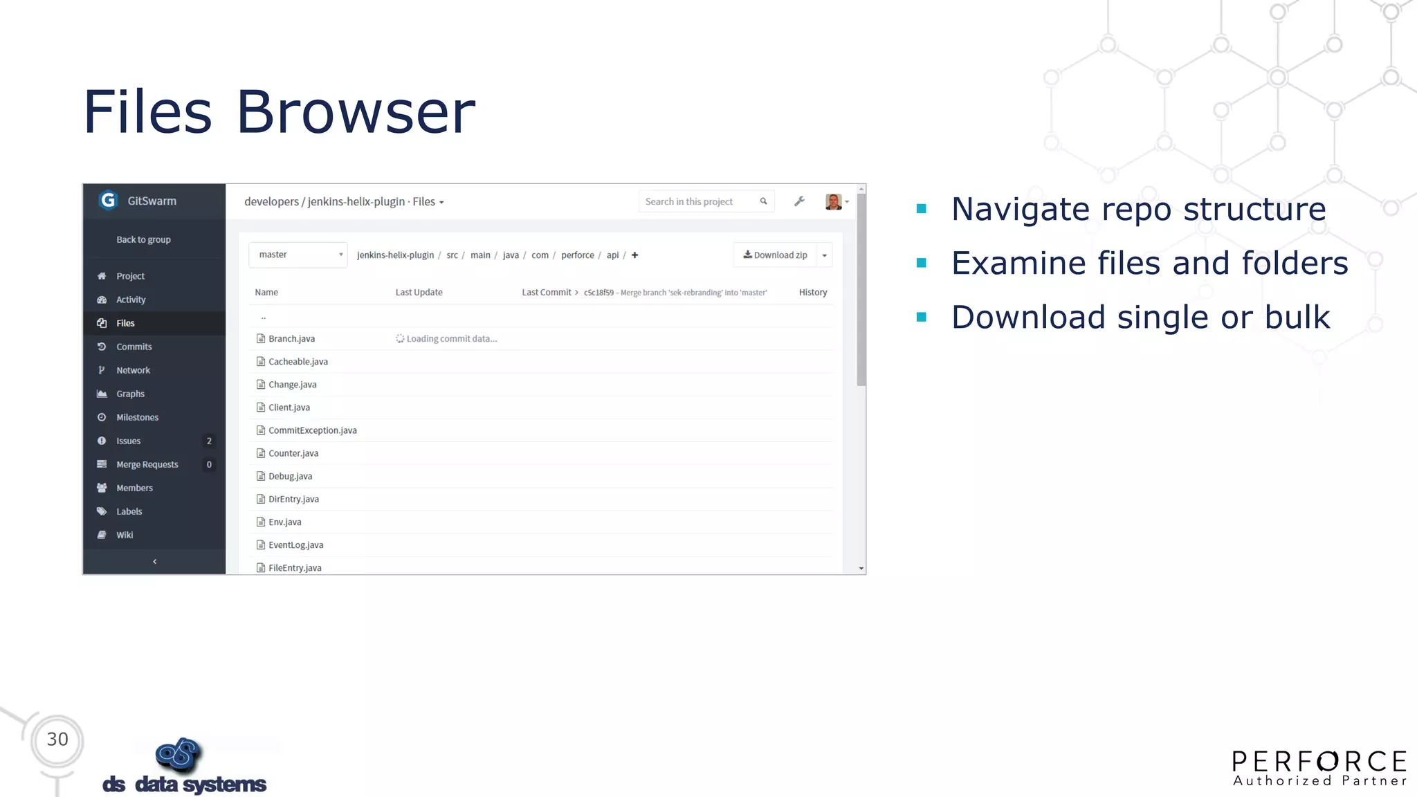 30
Files Browser
 Navigate repo structure
 Examine files and folders
 Download single or bulk
 