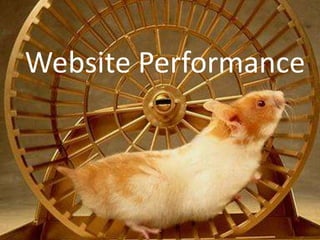 Website Performance 