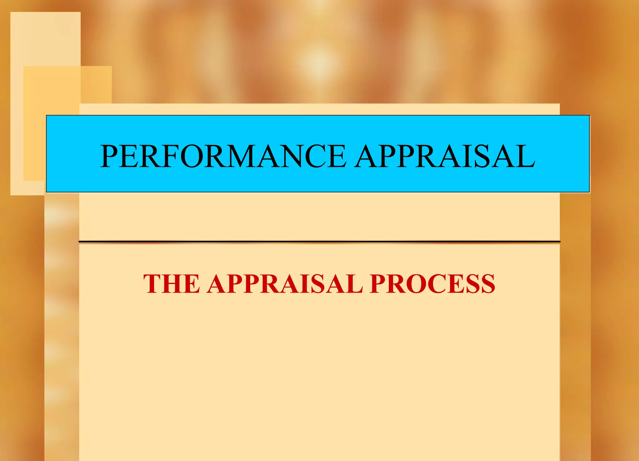 PERFORMANCE APPRAISAL

THE APPRAISAL PROCESS

 