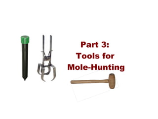 Performance Whack A Mole