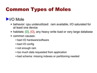 Performance Whack A Mole