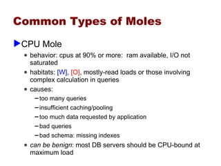 Performance Whack A Mole