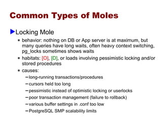 Performance Whack A Mole