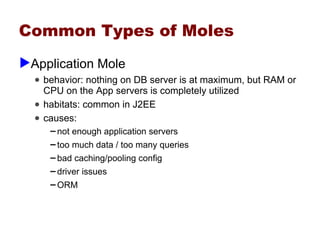 Performance Whack A Mole