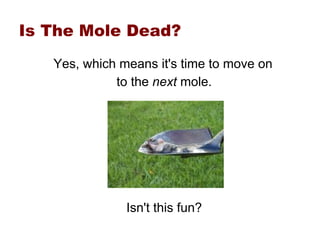 Performance Whack A Mole