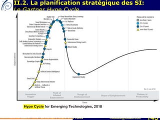 Mohamed Louadi, PhD Tunis mlouadi@louadi.com 145
II.2. La planification stratégique des SI:
Le Gartner Hype Cycle
 