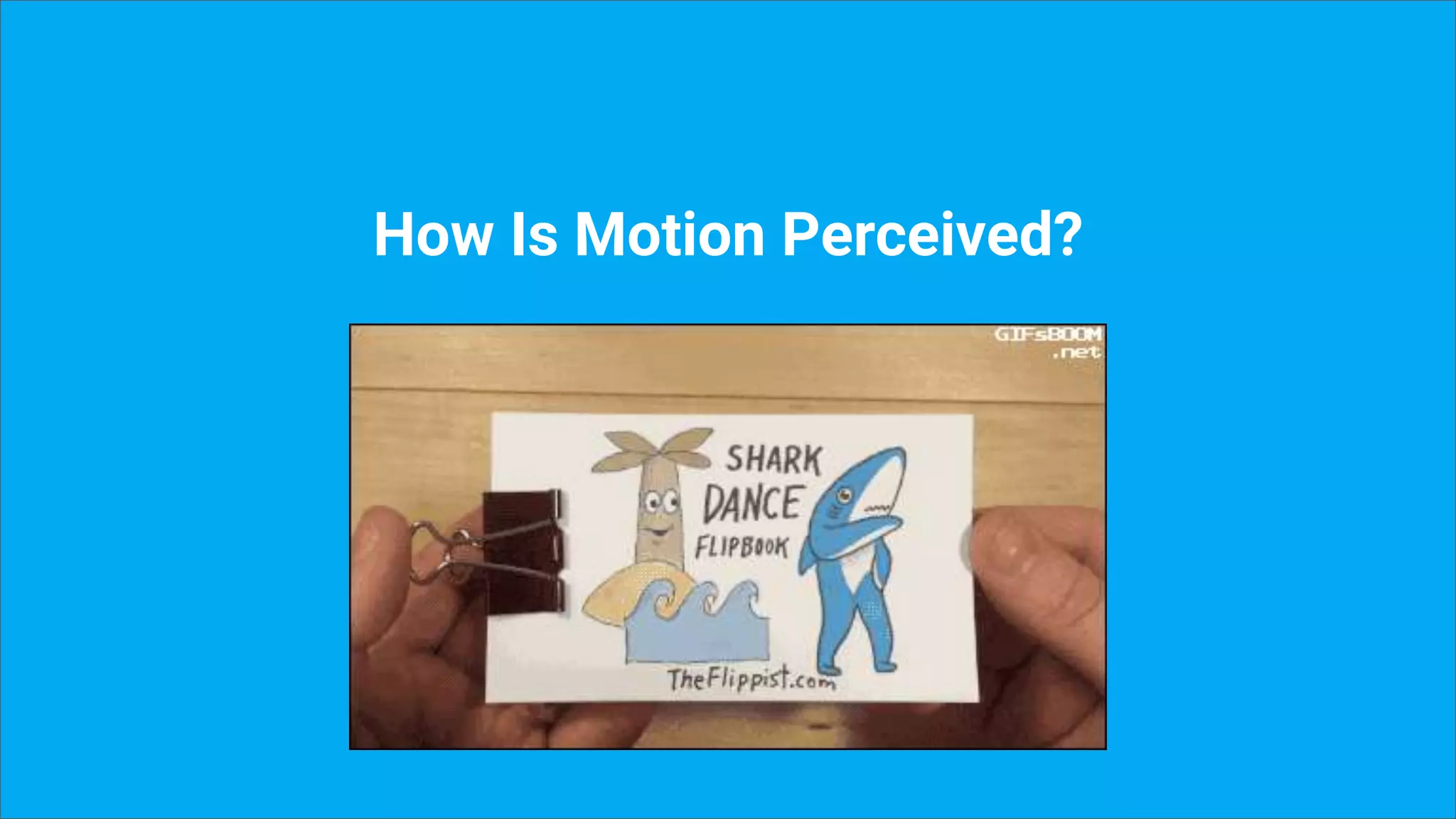 How Is Motion Perceived?
 