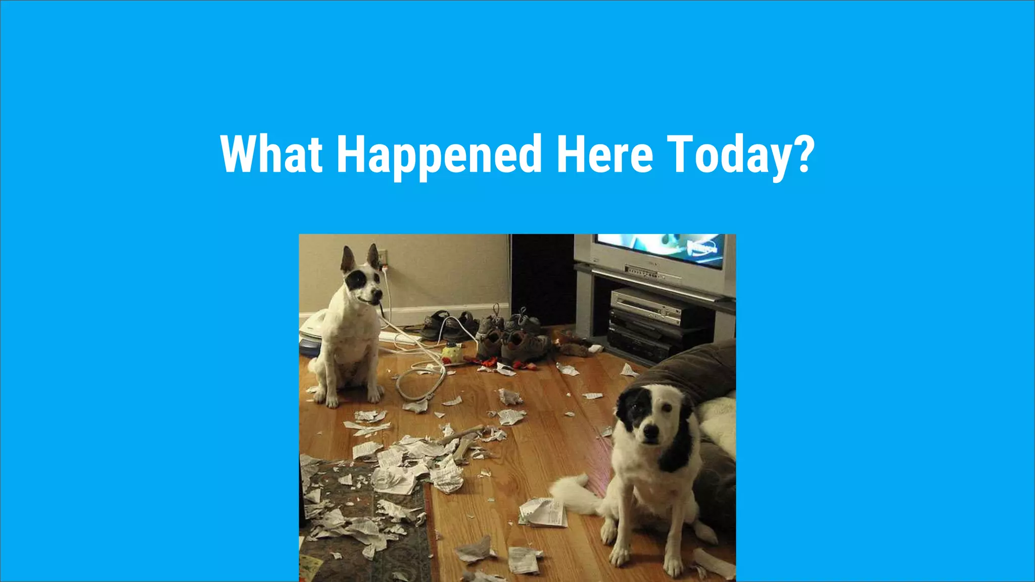 What Happened Here Today?
 