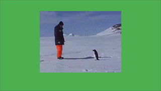 User Experience!!!!!
 