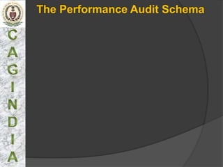 The Performance Audit Schema
 