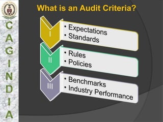 What is an Audit Criteria?
 