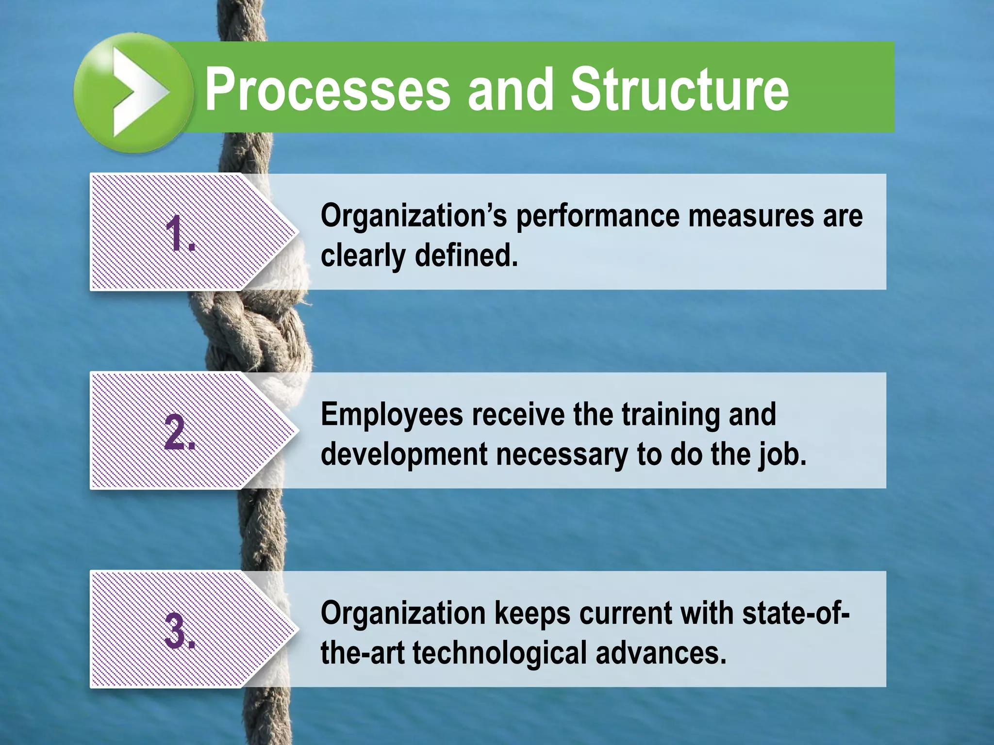 Processes and Structure
         Organization’s performance measures are
1.       clearly defined.



         Employees receive the training and
2.       development necessary to do the job.



         Organization keeps current with state-of-
3.       the-art technological advances.
 
