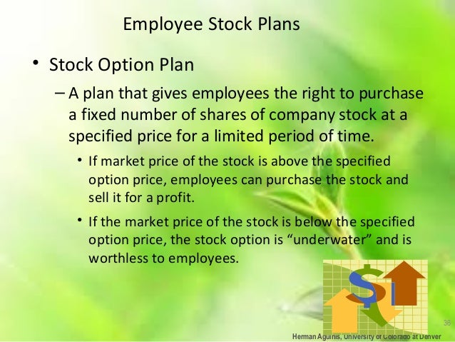 Cost basis of employee stock options
