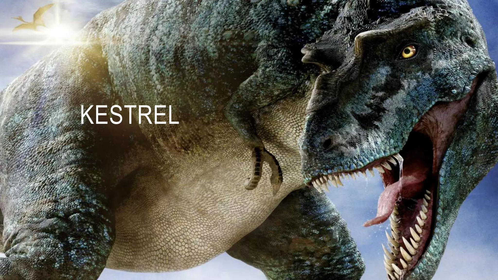 KESTREL 