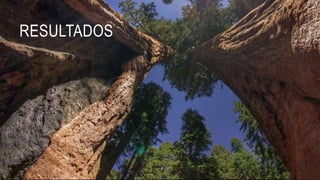 RESULTADOS
 