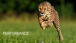 PERFORMANCE
 
