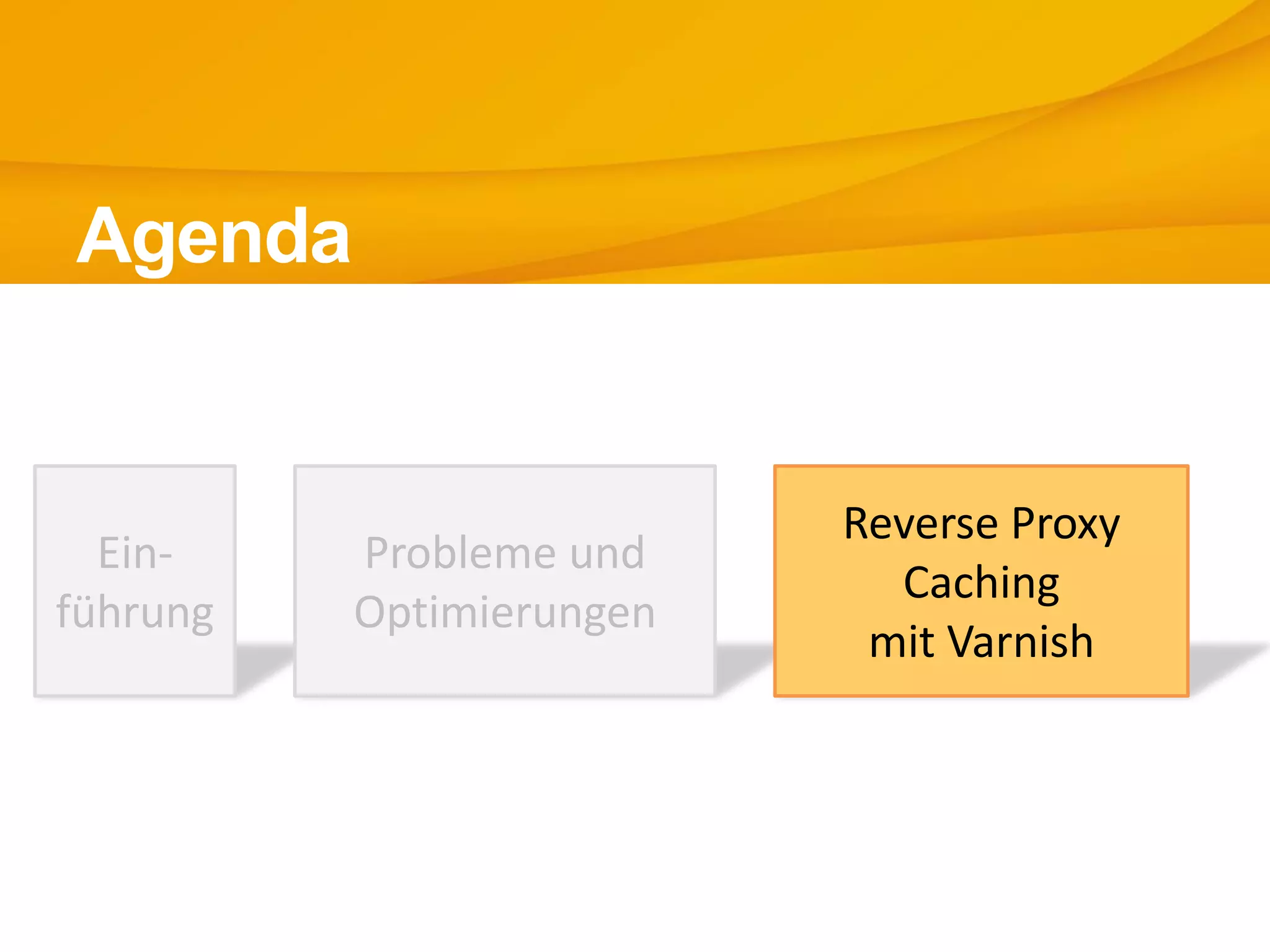 Ein-
führung
Agenda
Probleme und
Optimierungen
Reverse Proxy
Caching
mit Varnish
 