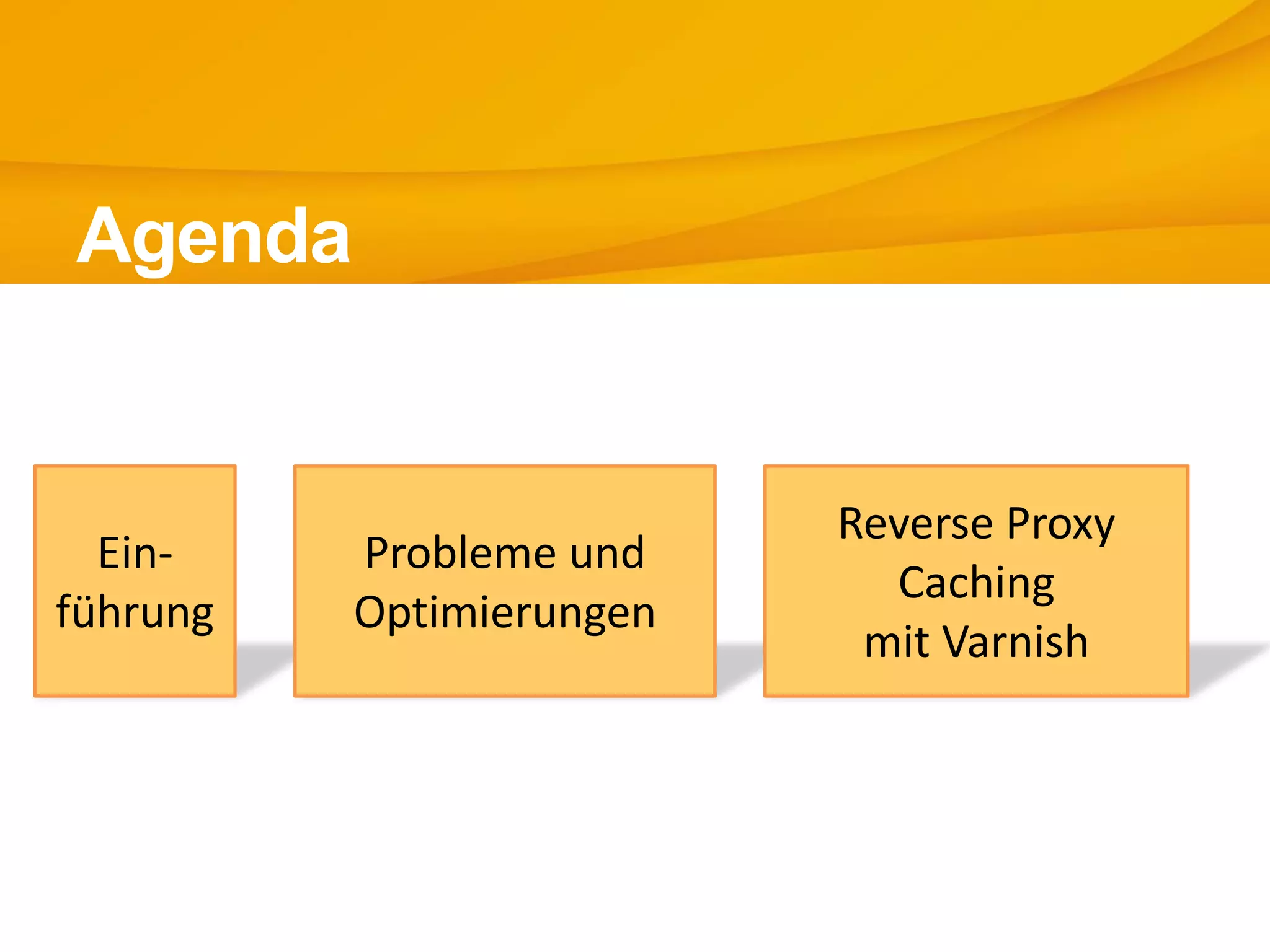 Ein-
führung
Agenda
Probleme und
Optimierungen
Reverse Proxy
Caching
mit Varnish
 