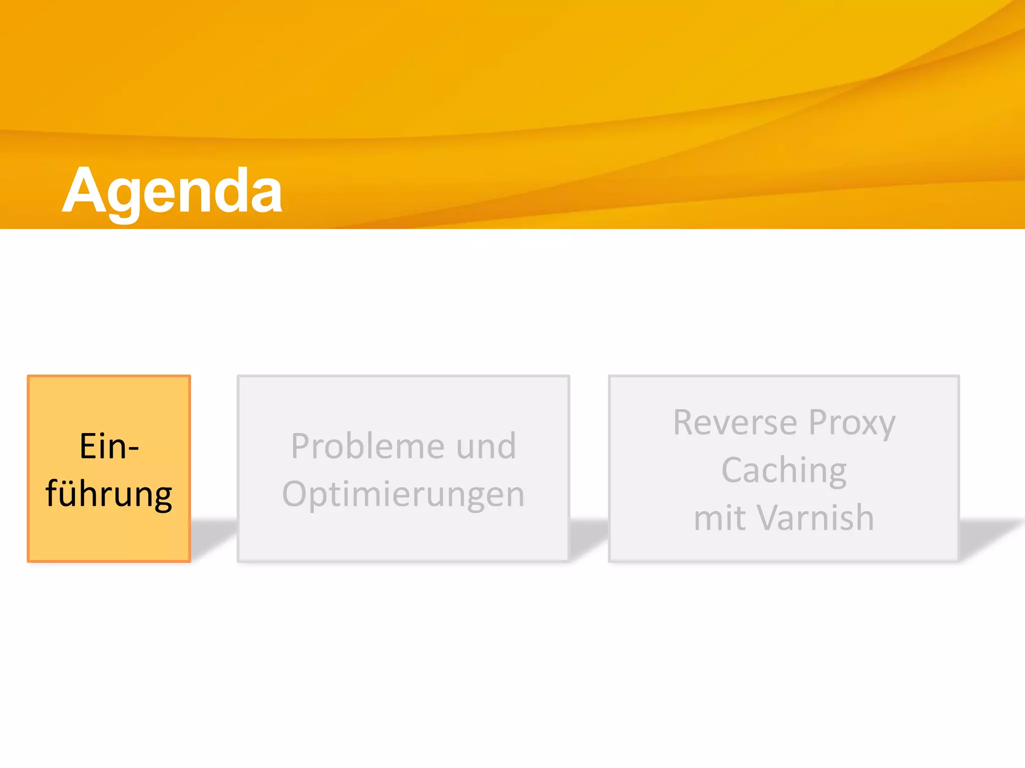 Ein-
führung
Agenda
Probleme und
Optimierungen
Reverse Proxy
Caching
mit Varnish
 