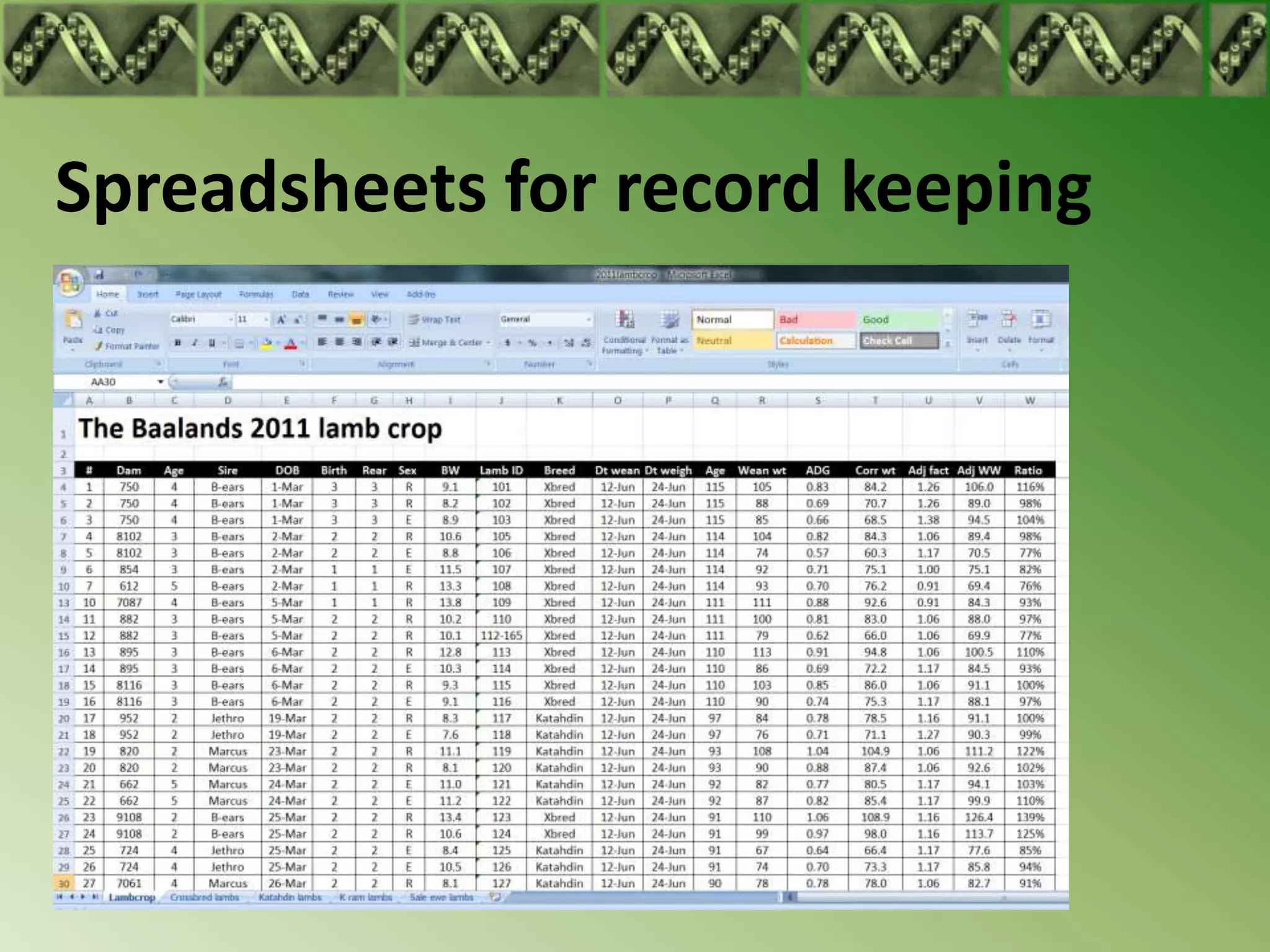Spreadsheets for record keeping
 