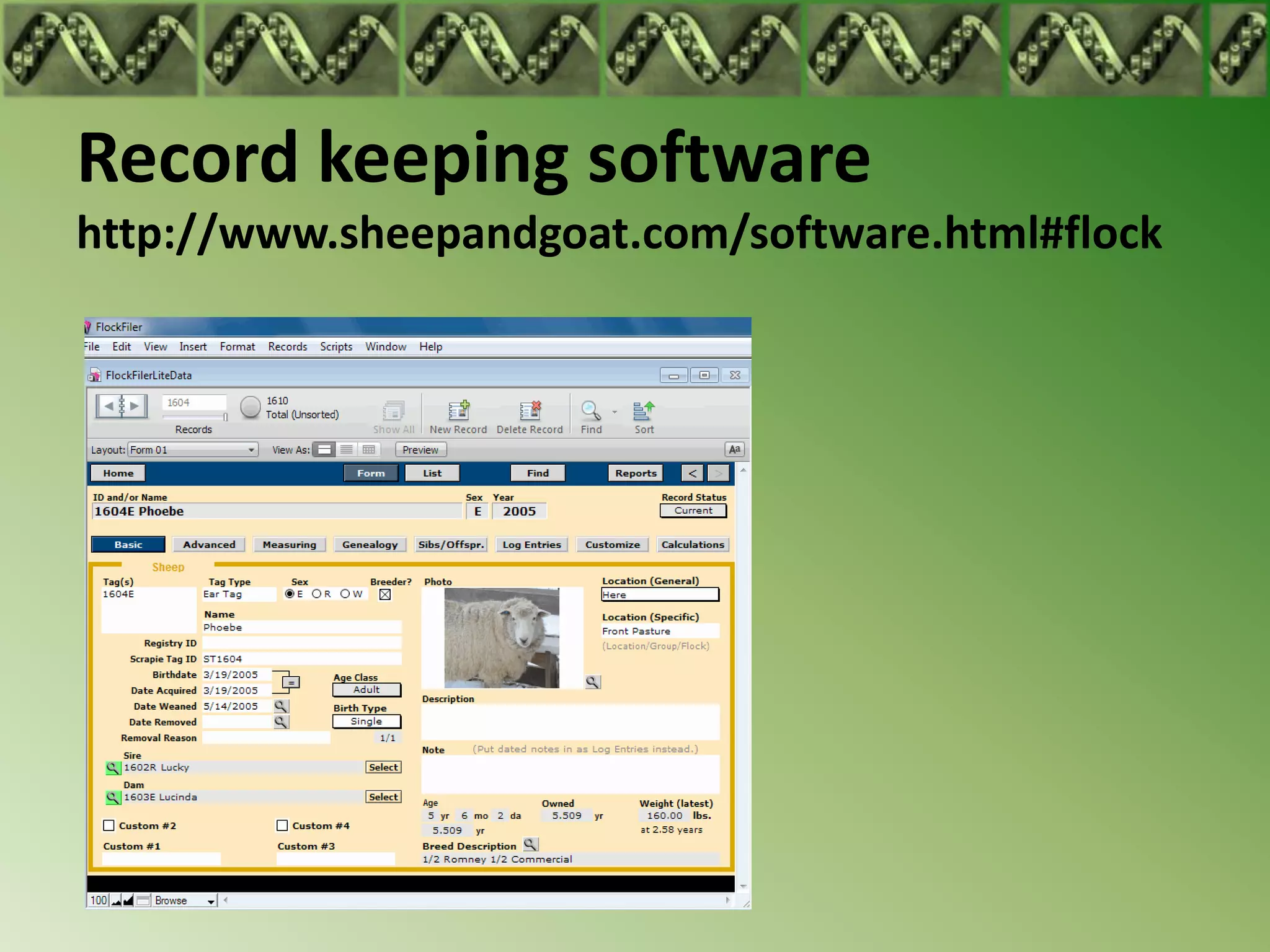 Record keeping software
http://www.sheepandgoat.com/software.html#flock
 