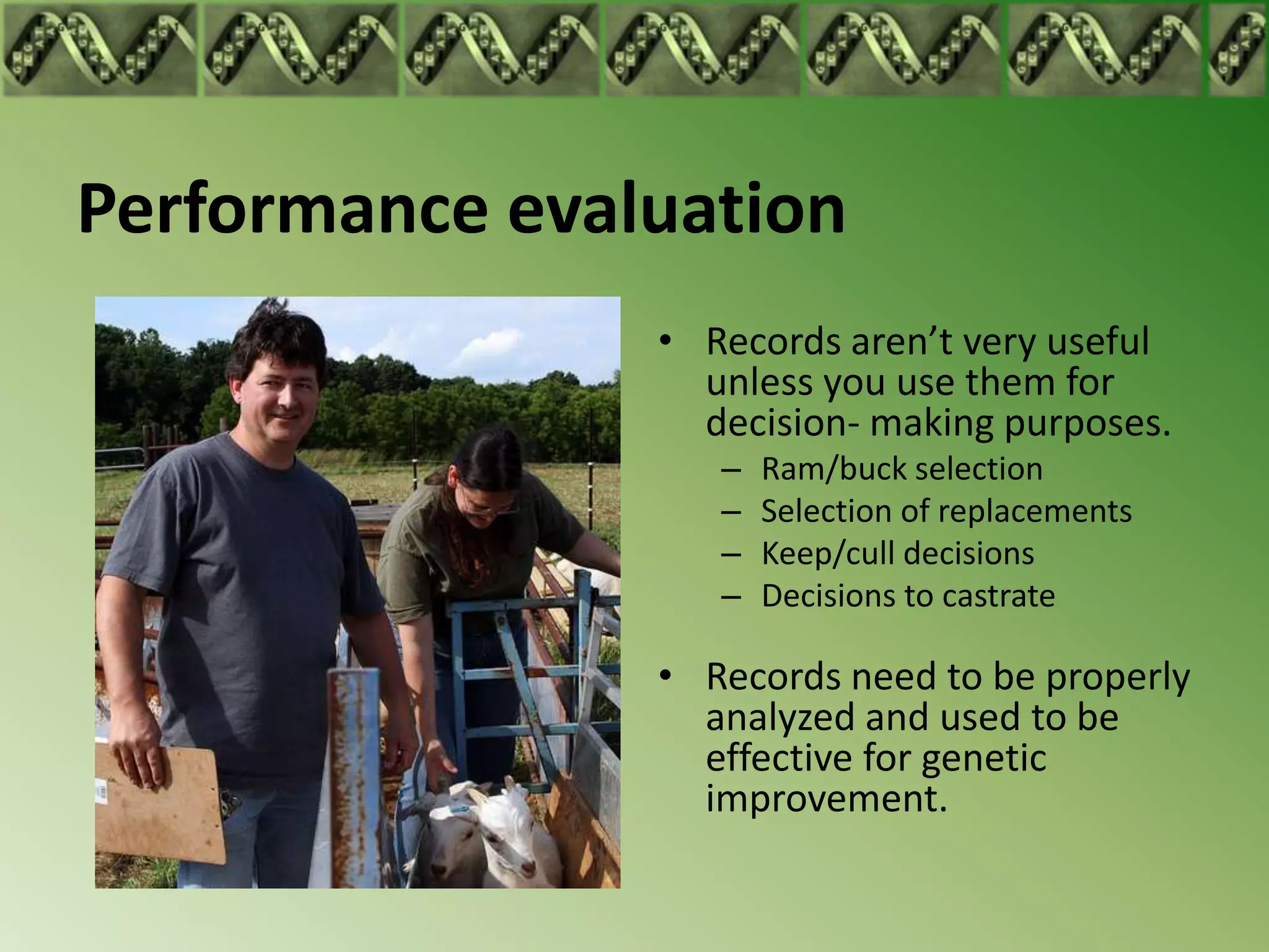 Performance evaluation
                • Records aren’t very useful
                  unless you use them for
                  decision- making purposes.
                   –   Ram/buck selection
                   –   Selection of replacements
                   –   Keep/cull decisions
                   –   Decisions to castrate

                • Records need to be properly
                  analyzed and used to be
                  effective for genetic
                  improvement.
 