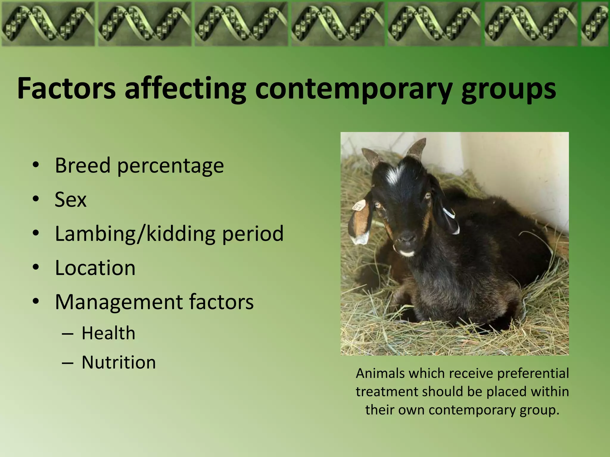 Factors affecting contemporary groups

 •   Breed percentage
 •   Sex
 •   Lambing/kidding period
 •   Location
 •   Management factors
     – Health
     – Nutrition              Animals which receive preferential
                              treatment should be placed within
                                their own contemporary group.
 