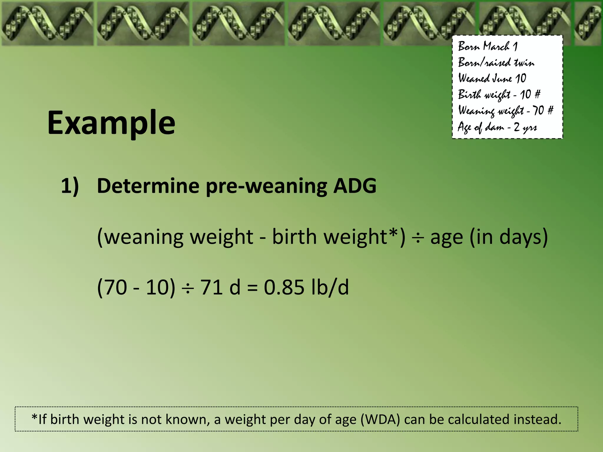 Born March 1
                                                                      Born/raised twin
                                                                      Weaned June 10
                                                                      Birth weight - 10 #
                                                                      Weaning weight - 70 #
  Example                                                             Age of dam - 2 yrs



    1) Determine pre-weaning ADG

          (weaning weight - birth weight*)                       age (in days)

          (70 - 10)        71 d = 0.85 lb/d




*If birth weight is not known, a weight per day of age (WDA) can be calculated instead.
 