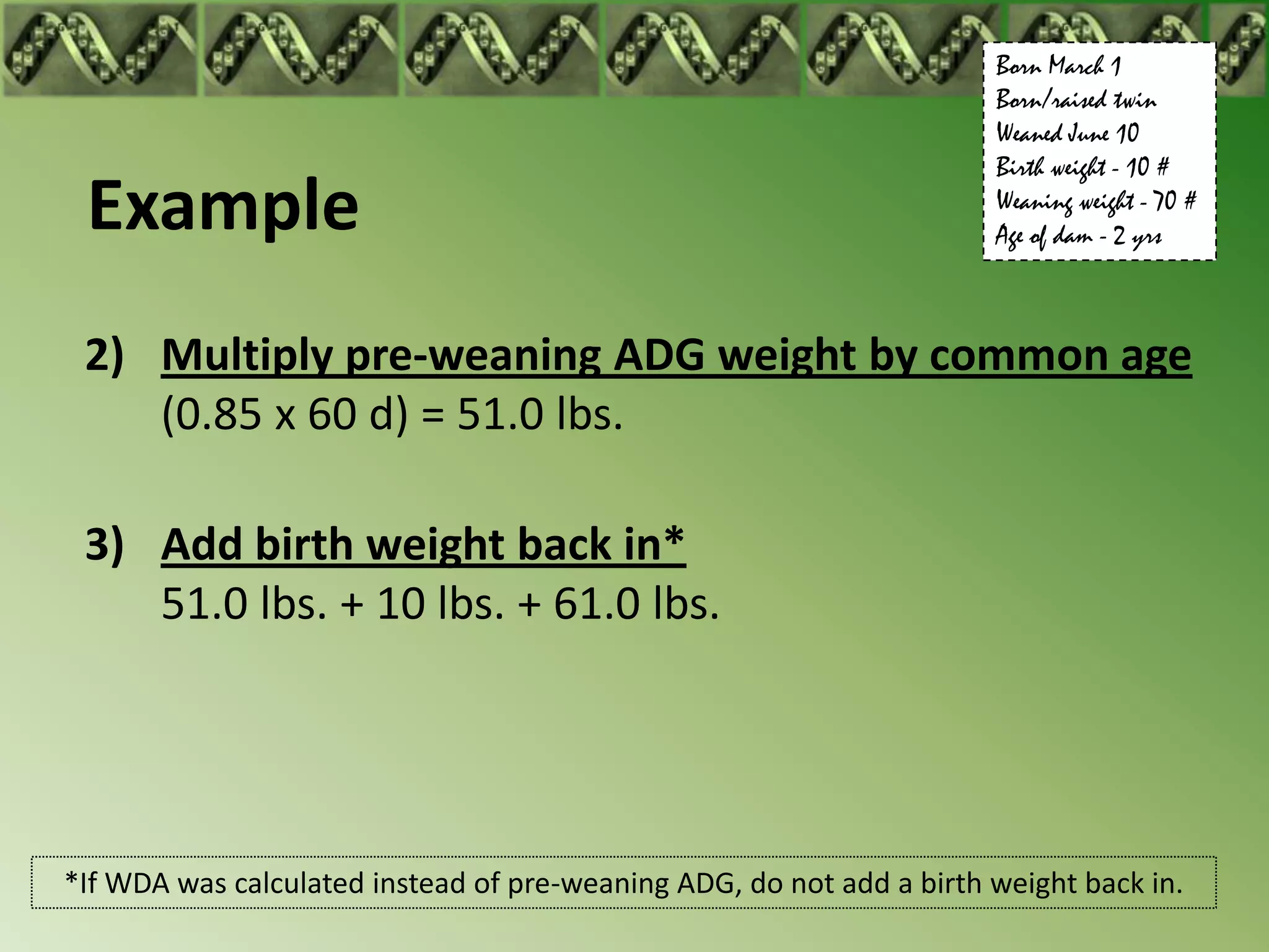 Born March 1
                                                                      Born/raised twin
                                                                      Weaned June 10
                                                                      Birth weight - 10 #
 Example                                                              Weaning weight - 70 #
                                                                      Age of dam - 2 yrs



 2) Multiply pre-weaning ADG weight by common age
    (0.85 x 60 d) = 51.0 lbs.

 3) Add birth weight back in*
    51.0 lbs. + 10 lbs. + 61.0 lbs.




*If WDA was calculated instead of pre-weaning ADG, do not add a birth weight back in.
 