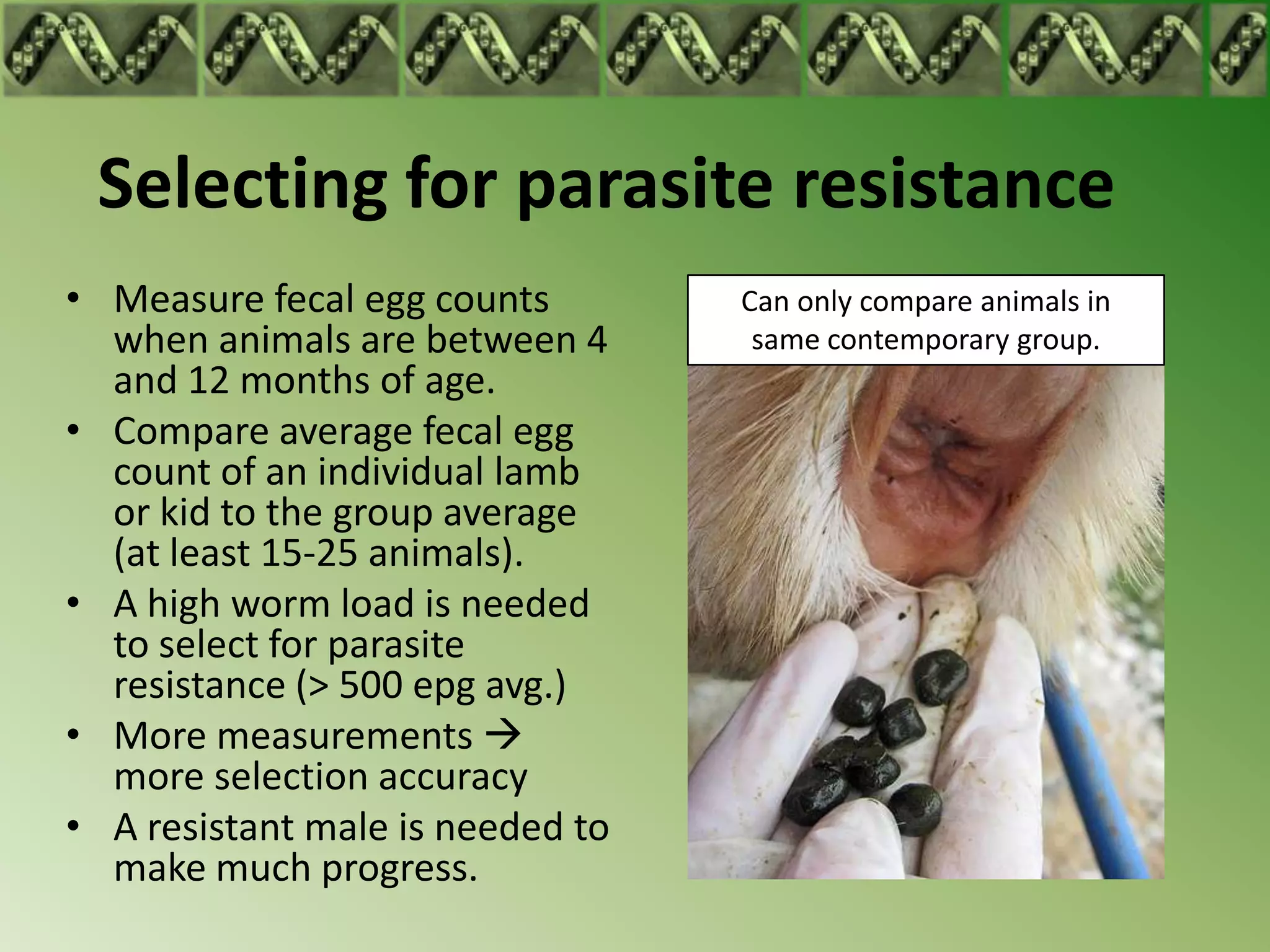 Selecting for parasite resistance
• Measure fecal egg counts        Can only compare animals in
  when animals are between 4       same contemporary group.
  and 12 months of age.
• Compare average fecal egg
  count of an individual lamb
  or kid to the group average
  (at least 15-25 animals).
• A high worm load is needed
  to select for parasite
  resistance (> 500 epg avg.)
• More measurements 
  more selection accuracy
• A resistant male is needed to
  make much progress.
 