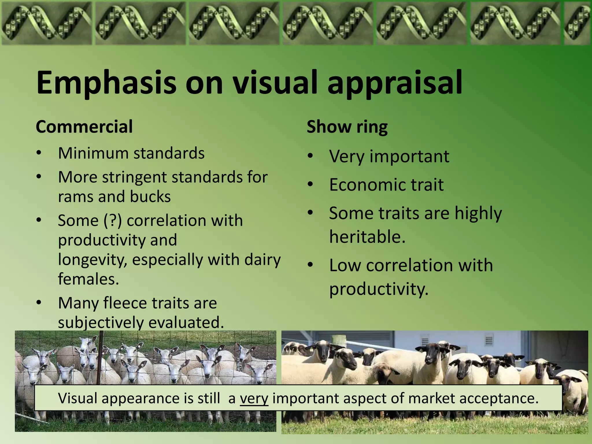 Emphasis on visual appraisal
Commercial                              Show ring
• Minimum standards                     • Very important
• More stringent standards for          • Economic trait
  rams and bucks
• Some (?) correlation with             • Some traits are highly
  productivity and                        heritable.
  longevity, especially with dairy      • Low correlation with
  females.
                                          productivity.
• Many fleece traits are
  subjectively evaluated.



   Visual appearance is still a very important aspect of market acceptance.
 